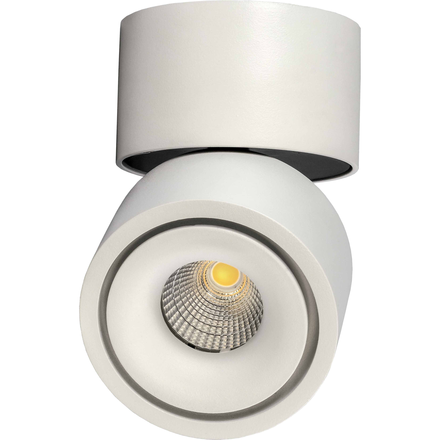 Tilt ledspot 230V Ø75mm