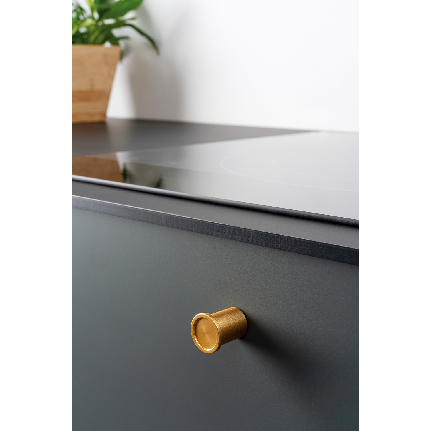 Knop ROUND Ø25 aluminium rvs-look