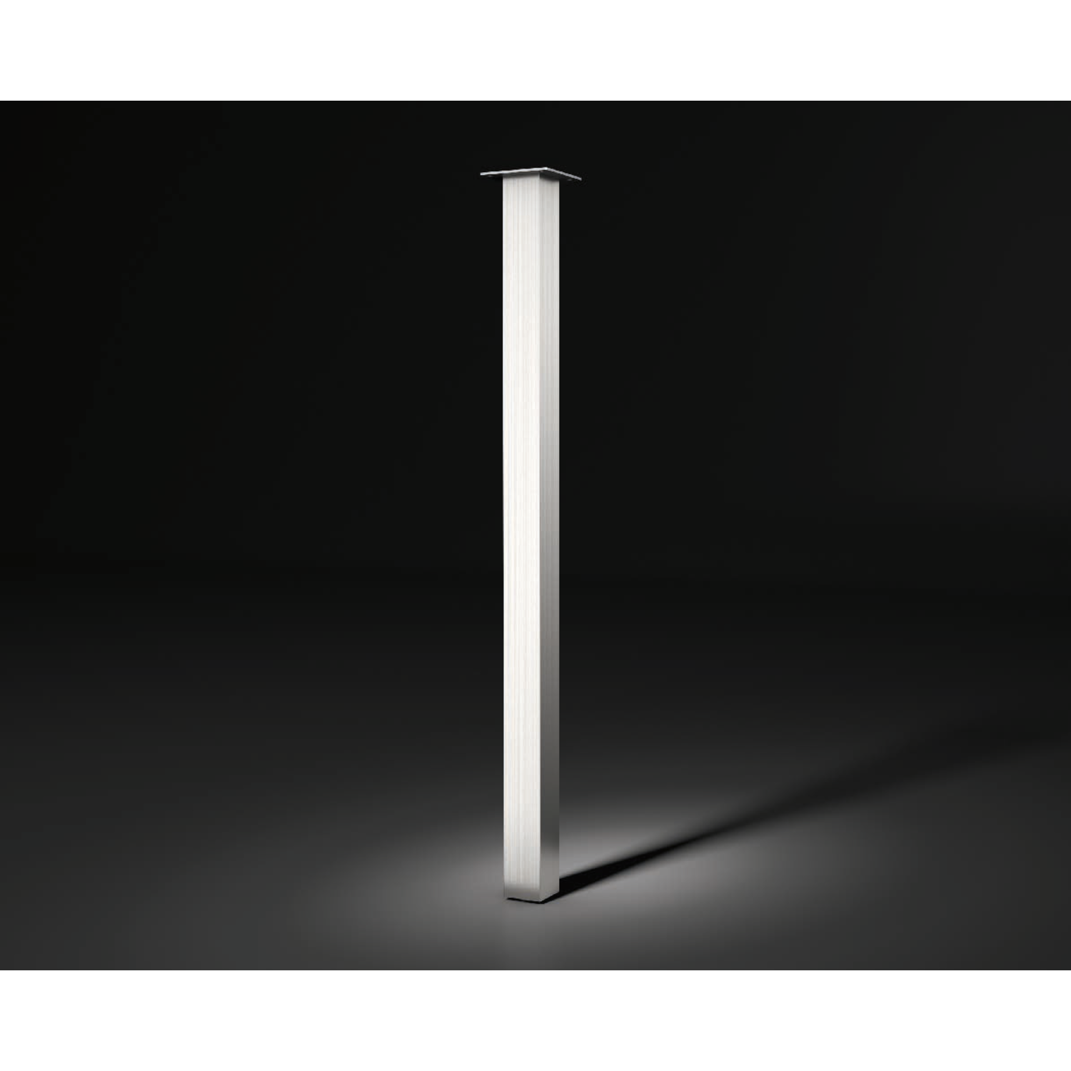 Tafelpoot capri 50 rvs look h:1100mm 50x50mm