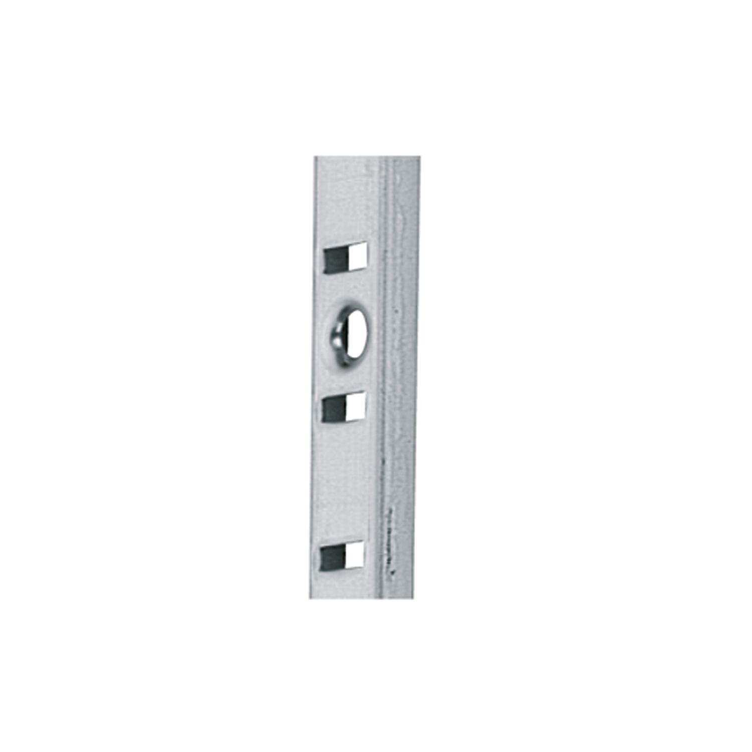 Vari staal 10 x 5 mm Rail, vernikkeld
