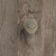 Knop Barcino, H 25 mm, ø 30 mm, tinkleurig