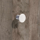 Knop Danum, H 22 mm, ø 25 mm, roestvrij staal geborsteld