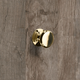 Knop Sala, H 20 mm, ø 25 mm, messingkleurig glans