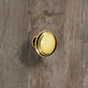 Knop Solva, H 23 mm, ø 30 mm, messingkleurig glans