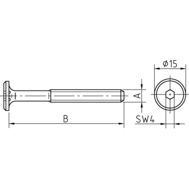 Verbindingsvijs M6 cylinderkop/binnenzeskant sw4 verzinkt