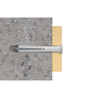 Nagelplug Fischer N-S met schroef