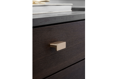 Knop elan ba32 l50 alu geborsteld goud