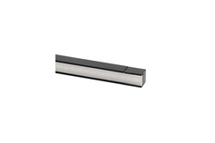 Lite Track lichtlijst 300mm 24v (2 st)
